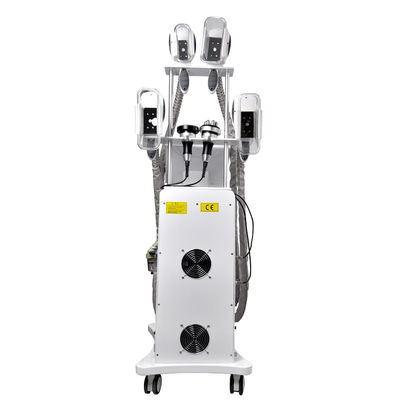 ईएमएस फैट फ्रीज क्रायोलिपोलिसिस स्लिमिंग मशीन 800W OEM