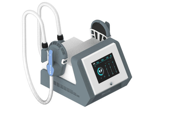 वजन घटाने और बिना दर्द के आकार देने के लिए पोर्टेबल बिग पावर 2 हैंडल ईएमएस मशीन