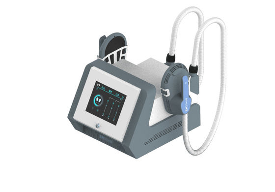 वजन घटाने और बिना दर्द के आकार देने के लिए पोर्टेबल बिग पावर 2 हैंडल ईएमएस मशीन