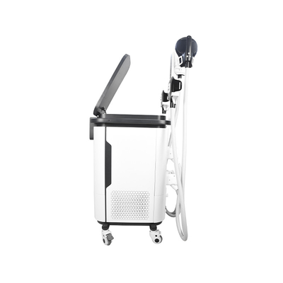 2 In 1 Ems Cryo Body Sculpting Machine  4 Handles Estimulador Muscular Machine