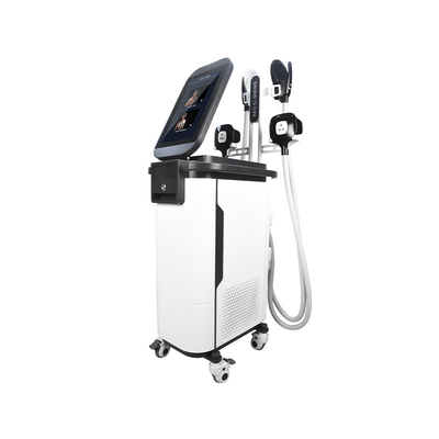 2 In 1 Ems Cryo Body Sculpting Machine  4 Handles Estimulador Muscular Machine
