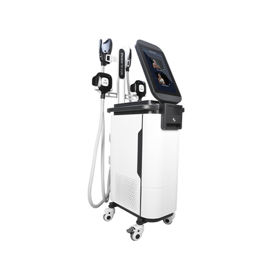 2 In 1 Ems Cryo Body Sculpting Machine  4 Handles Estimulador Muscular Machine